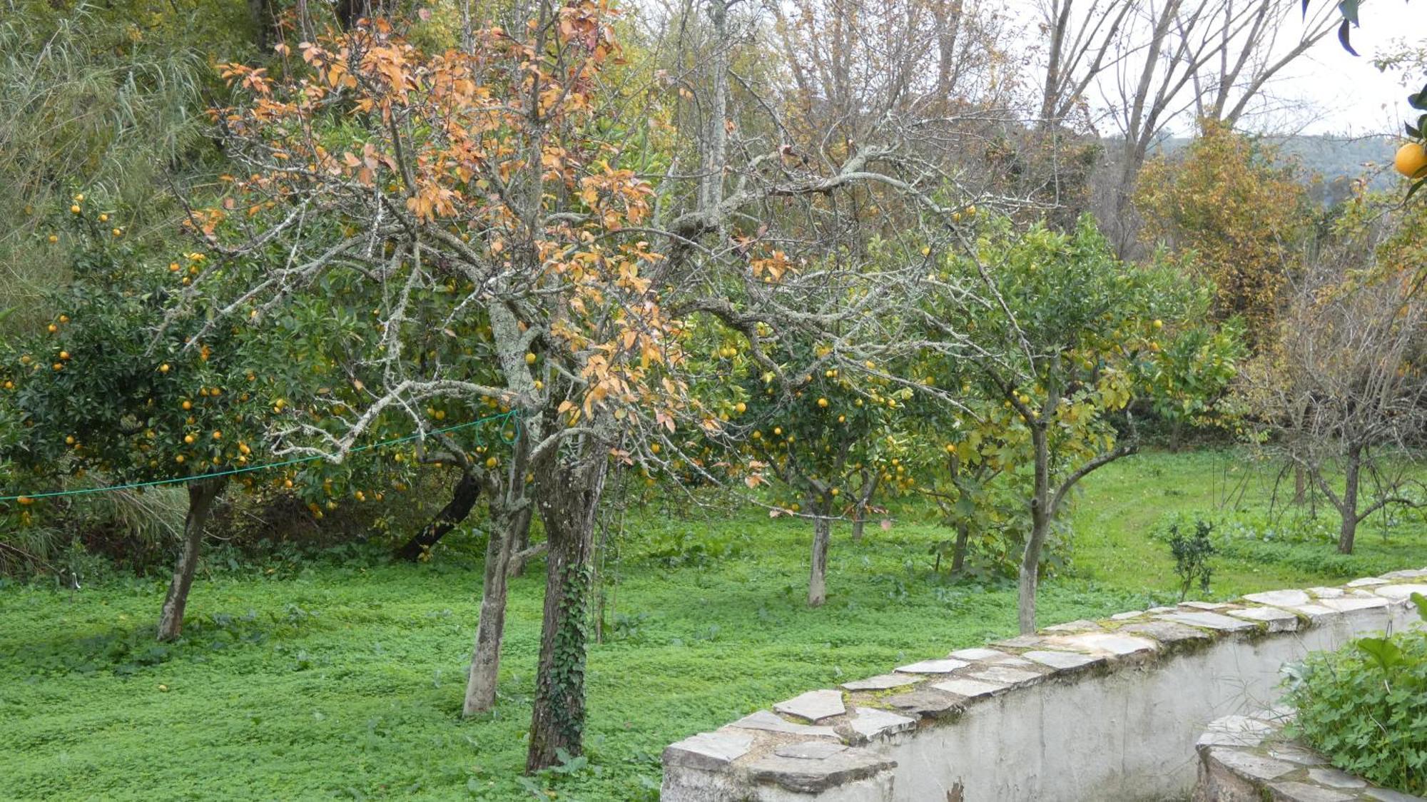 Casa Rural El Riandero Linares de la Sierra Bagian luar foto
