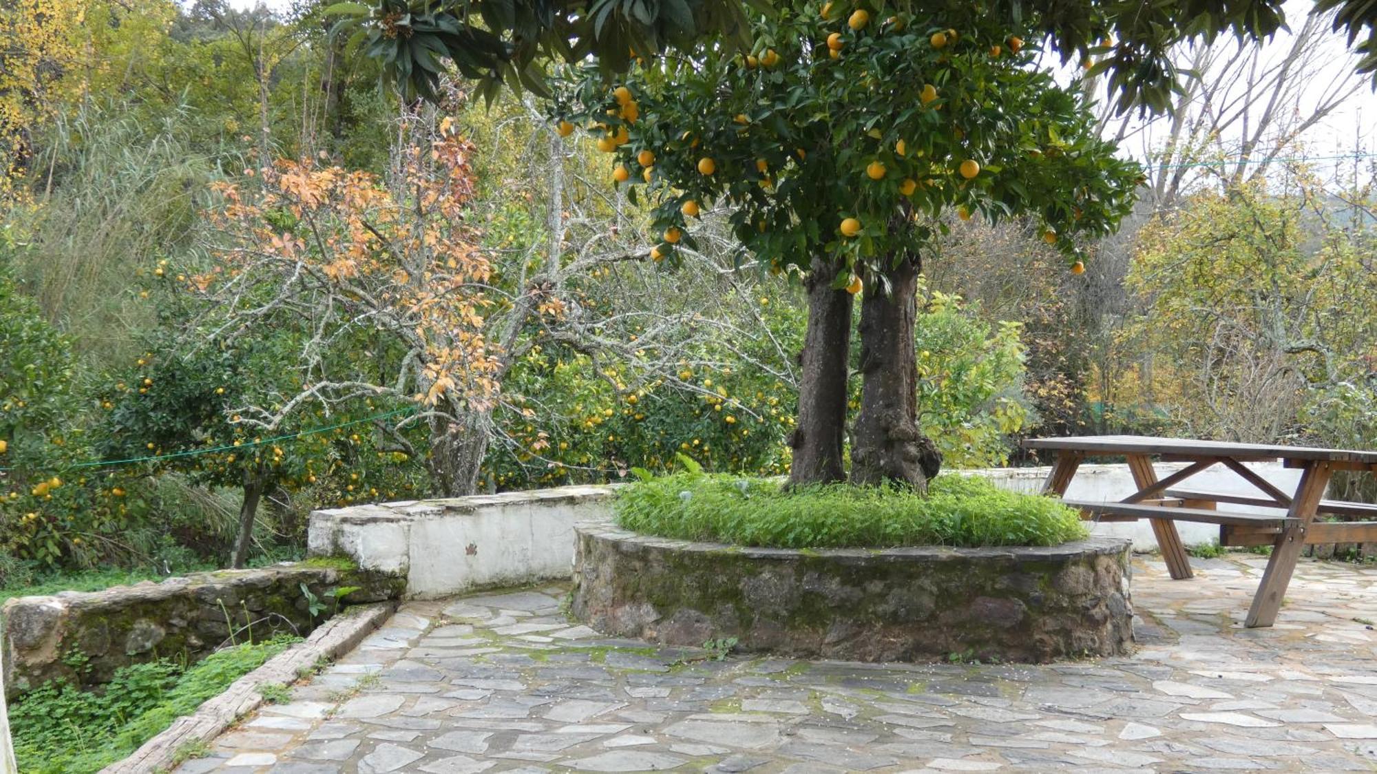 Casa Rural El Riandero Linares de la Sierra Bagian luar foto